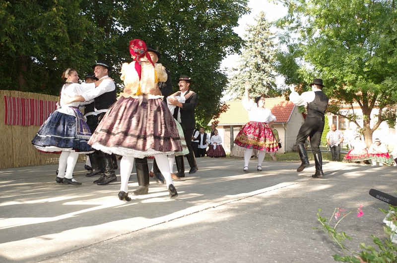 LEVI2748 (Medium).JPG